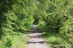 Derk-de-Haan-Padd-Norden-13.5.2019-7