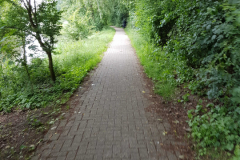 Derk-de-Haan-Padd Norden 15.6.2017-1