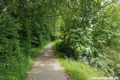 Derk-de-Haan-Padd Norden 15.6.2017-3