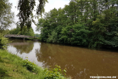 Derk-de-Haan-Padd Norden 15.6.2017-4