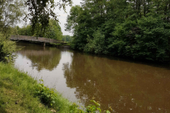 Derk-de-Haan-Padd Norden 15.6.2017-5