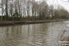 Derk-de-Haan-Padd Norden 20.2.2019-5