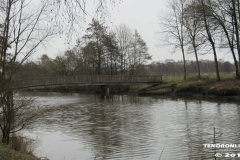 Derk-de-Haan-Padd Norden 20.2.2019-8