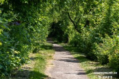 Derk-de-Haan-Padd-Stadt-Norden-6.6.2023-45