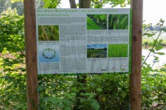 Derk-de-Haan-Padd-Stadt-Norden-6.6.2023-58