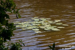 Derk-de-Haan-Padd-Stadt-Norden-6.6.2023-62