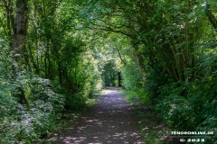 Derk-de-Haan-Padd-Stadt-Norden-6.6.2023-69