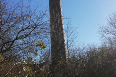 Die alte Ziegelei in Pilsum