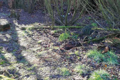 Die alte Ziegelei in Pilsum