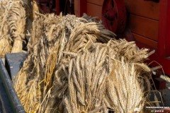 Doeschgefest-Westgaster-Muehle-Stadt-Norden-2.9.2023-2