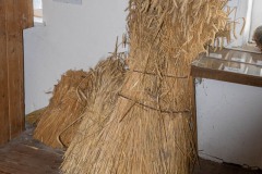 Doeschgefest-Westgaster-Muehle-Stadt-Norden-2.9.2023-51