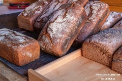 Doeschgen-und-muellern-Westgaster-Muehle-Norden-3.9.2022-39