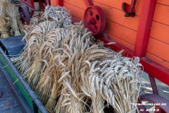 Doeschgen-und-muellern-Westgaster-Muehle-Norden-3.9.2022-5