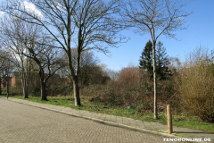Donaustraße 26506 Norden März 15.3.2019-6
