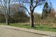 Donaustraße 26506 Norden März 15.3.2019-9