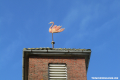 Gnadenkirche Tidofeld Donaustraße 26506 Norden März 15.3.2019-5