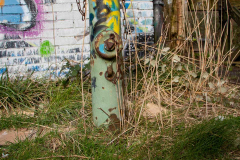 Doornkaat-Gebäude-Norden-29.2.2020-3