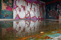 Spiegelung-Wasser-Doornkaatgelände-Norden-29.2.2020-6