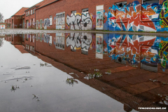 Spiegelung-Wasser-Doornkaatgelände-Norden-29.2.2020-9