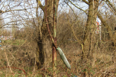 Lost Place Doornkaat Norden 16.2.2019-13