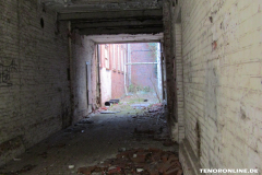 Lost Place Doornkaat Norden 16.2.2019-3