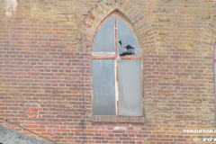 Lost Place Doornkaat Norden 16.2.2019-34
