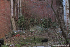 Lost Place Doornkaat Norden 16.2.2019-4
