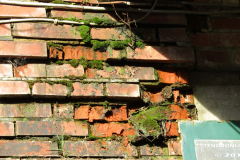 Lost Place Doornkaat Norden 16.2.2019-41