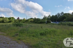 Doornkaat