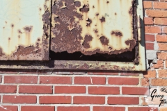 Doornkaat2015_Bild-91