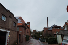 Doornkaatlohne  Norden-Januar 2019-1