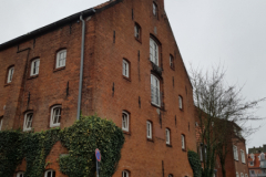 Doornkaatlohne  Norden-Januar 2019-4