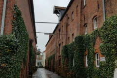 Doornkaatlohne  Norden-Januar 2019-5