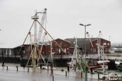 Hafen-Dornumersiel-Februrar-16.2.2020-6