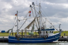 Kutter-ACC1-Hafen-Dornumersiel-Accumersiel-Ostfriesland-n-16.7.2023-14