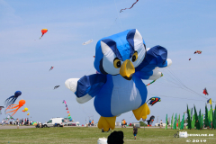 Drachenfest-Norddeich-2.6.2019-10