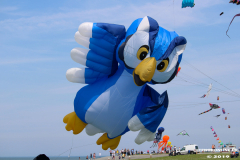 Drachenfest-Norddeich-2.6.2019-11