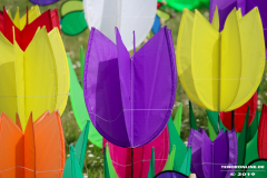 Drachenfest-Norddeich-2.6.2019-20
