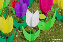 Drachenfest-Norddeich-2.6.2019-21