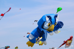 Drachenfest-Norddeich-2.6.2019-5