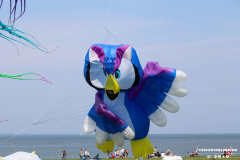 Drachenfest-Norddeich-2.6.2019-8