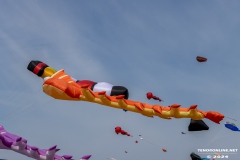 Drachenfest-Drachenwiese-Norddeich-Stadt-Norden-9.5.2024-107