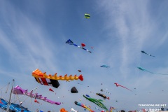 Drachenfest-Drachenwiese-Norddeich-Stadt-Norden-9.5.2024-118