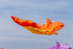 Drachenfest-Drachenwiese-Norddeich-Stadt-Norden-9.5.2024-15