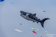 Drachenfest-Drachenwiese-Norddeich-Stadt-Norden-9.5.2024-19