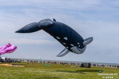 Drachenfest-Drachenwiese-Norddeich-Stadt-Norden-9.5.2024-21