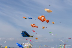 Drachenfest-Drachenwiese-Norddeich-Stadt-Norden-9.5.2024-38