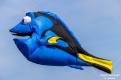 Drachenfest-Drachenwiese-Norddeich-Stadt-Norden-9.5.2024-50