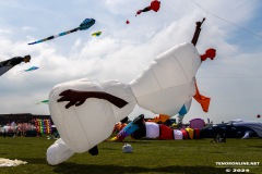 Drachenfest-Drachenwiese-Norddeich-Stadt-Norden-9.5.2024-52