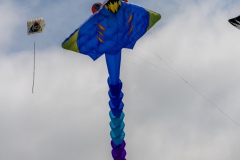 Drachenfest-Drachenwiese-Norddeich-Stadt-Norden-9.5.2024-63